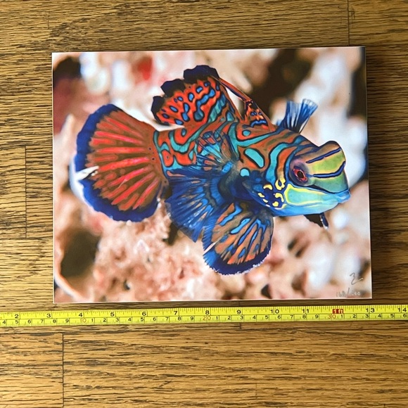 Exotic Tropical Mandarin Gobi Fish Lithography - Picture 4 of 9